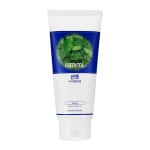 Puhastusvaht Daily Fresh Green Tea Cleansing Foam 300 ml