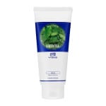 Puhastusvaht Daily Fresh Green Tea Cleansing Foam 300 ml