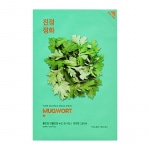 Pure Essence Mask Sheet - Mugwort